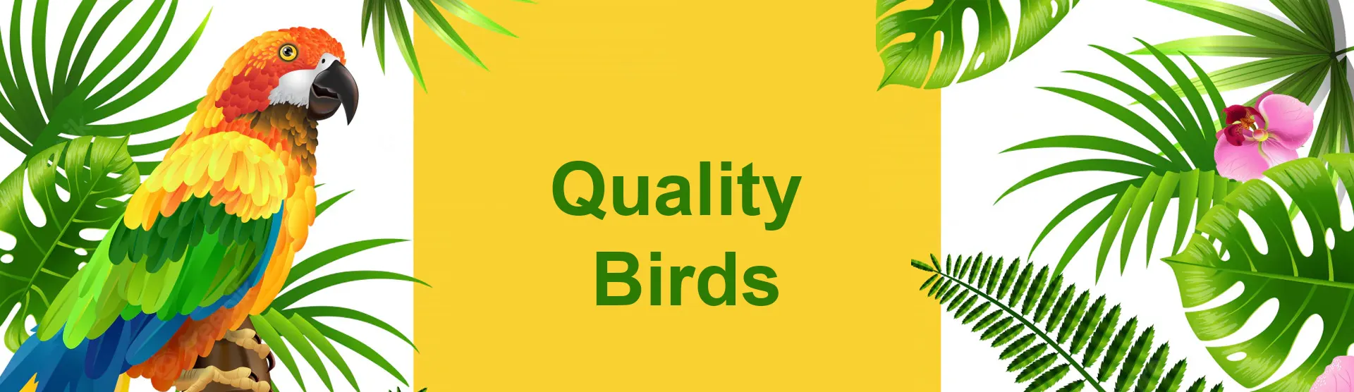 Quality Birds