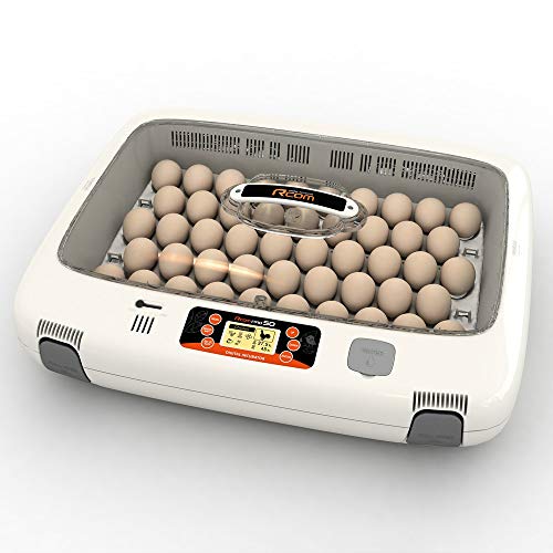R-Com MX-50 Fully Automatic Plastic Egg Incubator